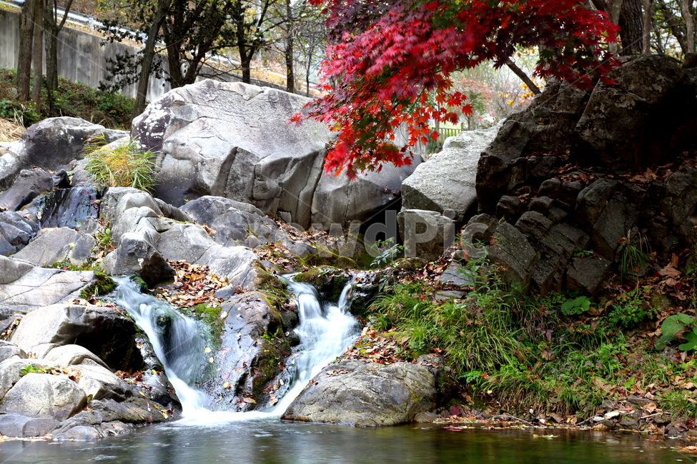 단풍,가을,풍경,낙엽,나무,붉은색,산,단풍나무,plant,식물,tree,leaf,잎,maple,단풍잎,water,물,자연,outdoors,옥외,가을,계절,fall,autumn,season,자연,풍경,nature,landscape,river,강