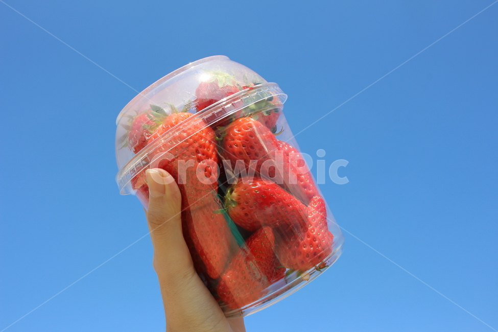 딸기,하늘,strawberry,빨강,red,과일,열매,fruit