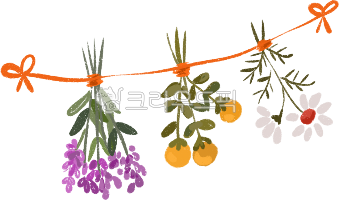 Flower hand drawing,flower painting,planter,wild flower,spring flower,flower cultivation,flower bouquet,small flower bouquet,cute flower bouquet,lyrical,pretty,flower garland,flower drying,making dried flowers,dried flowers,flower shop,flo