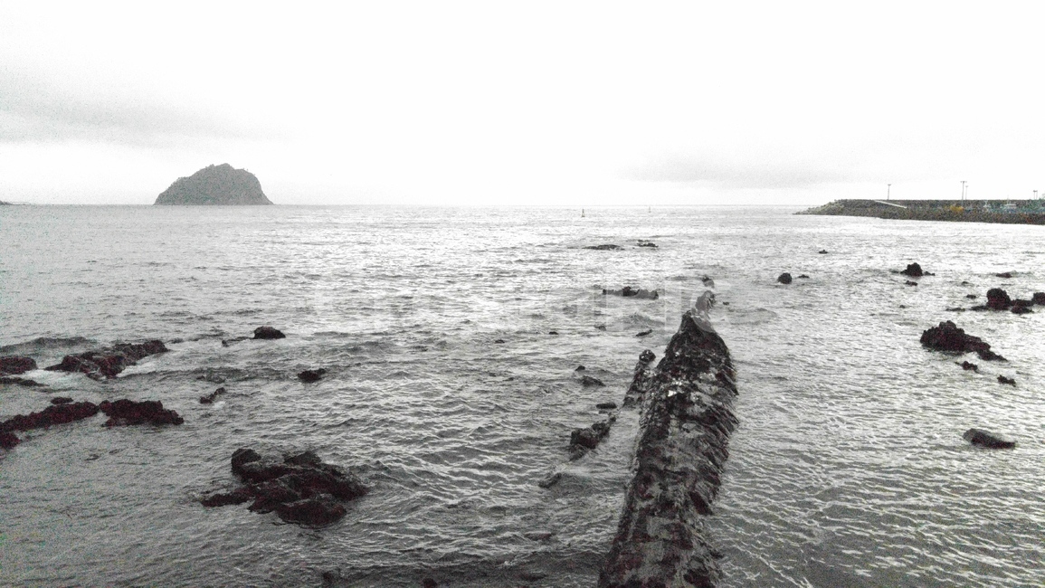 sea,바다,해안선,물,water,자연,연안,nature,제주도,바닷가,자연,풍경,nature,landscape