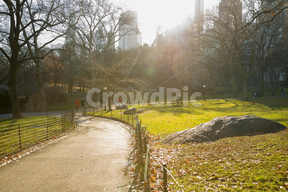 beautiful,beauty,centralparknewyorkcity,colorful,field,forest,garden,green,landscape,natural,nature,outdoor,park,plant,season,spring,tree,trees,wild,wildlife,뉴욕,센트럴파크,미국,공원