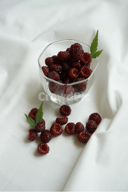 산딸기,열매,과일,라즈베리,raspberry,식물,자연,plants,nature,과일,열매,fruit,연출,컨셉,콘셉,direction,concept