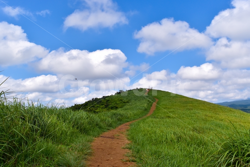 제주도,새별오름,오름,자연경관,풍경,자연,풍경,nature,landscape,제주도,jeju,jeju island,outdoors,옥외,field,들,grassland,목초지