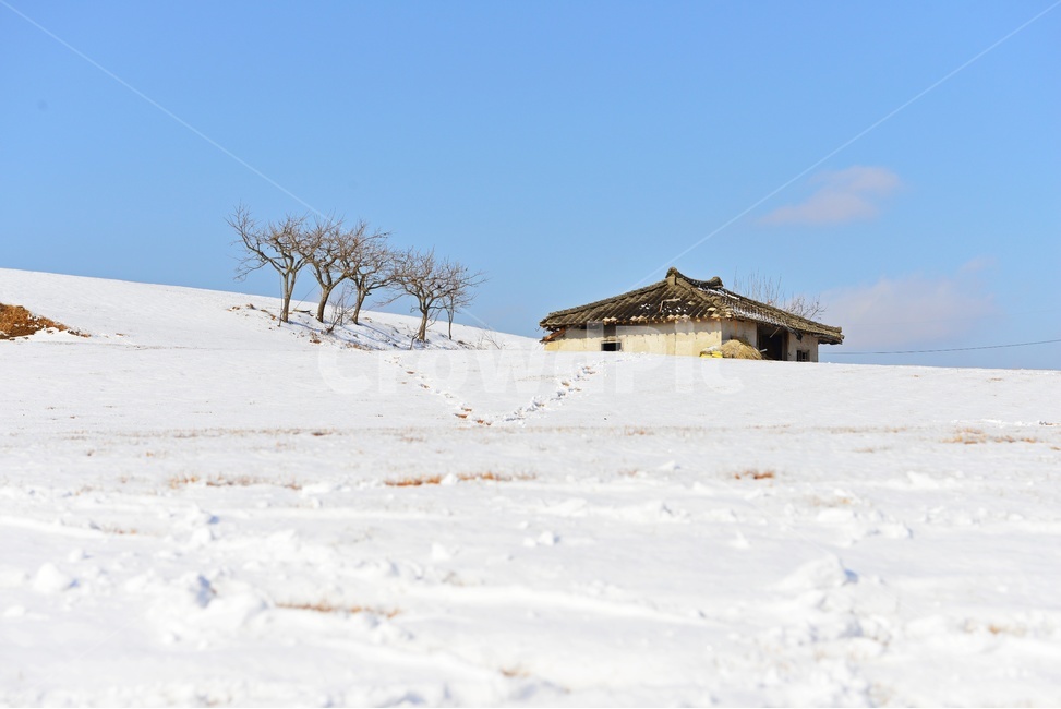 장성,삼서,외딴집,외딴집설경,겨울,계절,폐가,들판,나무,nature,자연,outdoors,옥외,building,건물,발자욱,겨울,계절,winter,season,자연,풍경,nature,landscape,한국자연풍경,한국자연경관,korea nature landscape