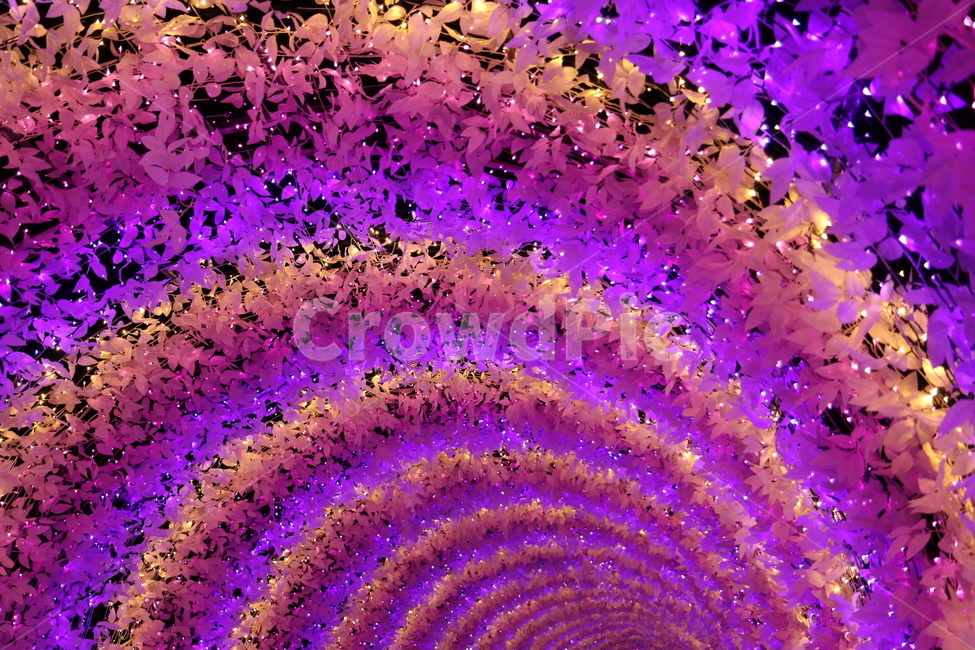 야경,불빛,환상적인,배경,환상,밤,축제,야경,밤,풍경,nightscape,night,landscape,ornament,장식
