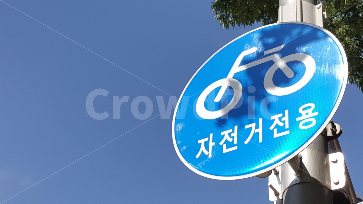 교통,표지판,자전거,도로,sign,산책,가을,하늘,표시,안내,자전거도로,길,사인,규칙,통행,건강,취미,여가,감성,교통,교통수단,traffic,transportation