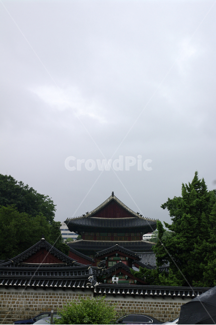 창덕궁,고궁,한옥,전통가옥,기와지붕,건축,traditional,나무,한국전통,한국문화,korean traditional,korean culture,랜드마크,landmark,tourist attraction,한국랜드마크,한국관광지,한국명소,korea landmark,korea tourist attraction,건축물,건물외관,exterior,building,structure,architecture,construction