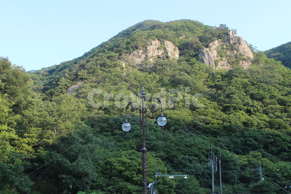 여름,시골,summer,산,한국자연풍경,나무,하늘,sky,blue,tree,green,분위기,가로등,계절