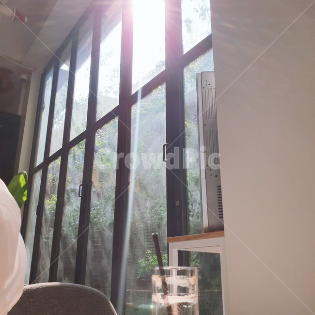 햇빛,창가,햇살,빛,따스함