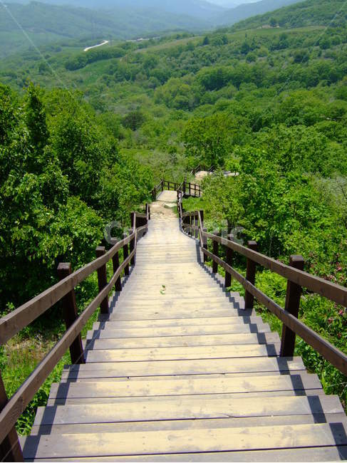 대관령목장,산,여름산,계단,능선,양떼목장,강원도,산길,stair,mountain,tree,forest,자연,풍경,nature,landscape,handrail,난간,banister,railing