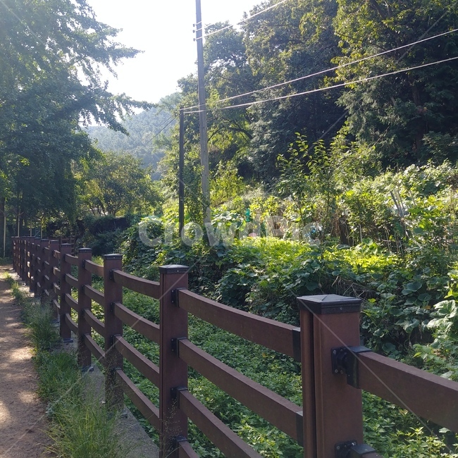 길,정원,풍경,산,정자,자연,풍경,nature,landscape,garden,outdoors,옥외,arbour