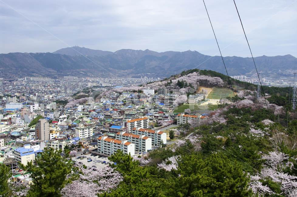 진해,도시,풍경,건물,city,도시,풍경,city,landscape,한국도시풍경,한국도시경관,korea cityscape,경치,outdoors,옥외,nature,자연,scenery,aerial view,조감도
