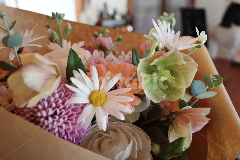 꽃,꽃다발,부케,flower,plant,식물,flowerbouquet