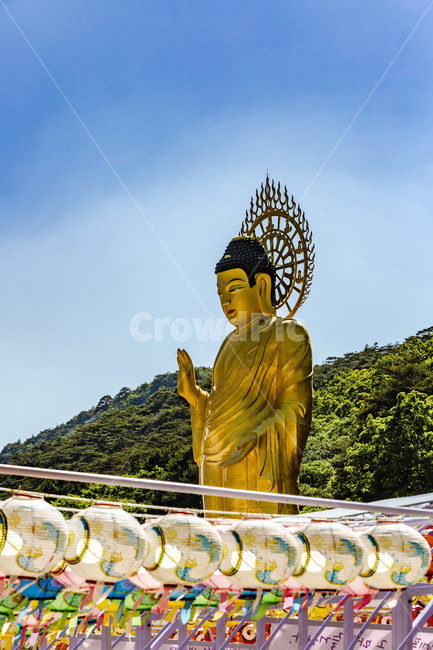 금동미륵입상,청동불상,법주사,연등,국민관광지,문화유산,문화재