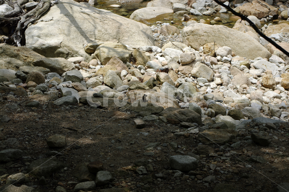 계곡,바위,풍경,다람쥐,돌,자연,풍경,nature,landscape,rubble,파편