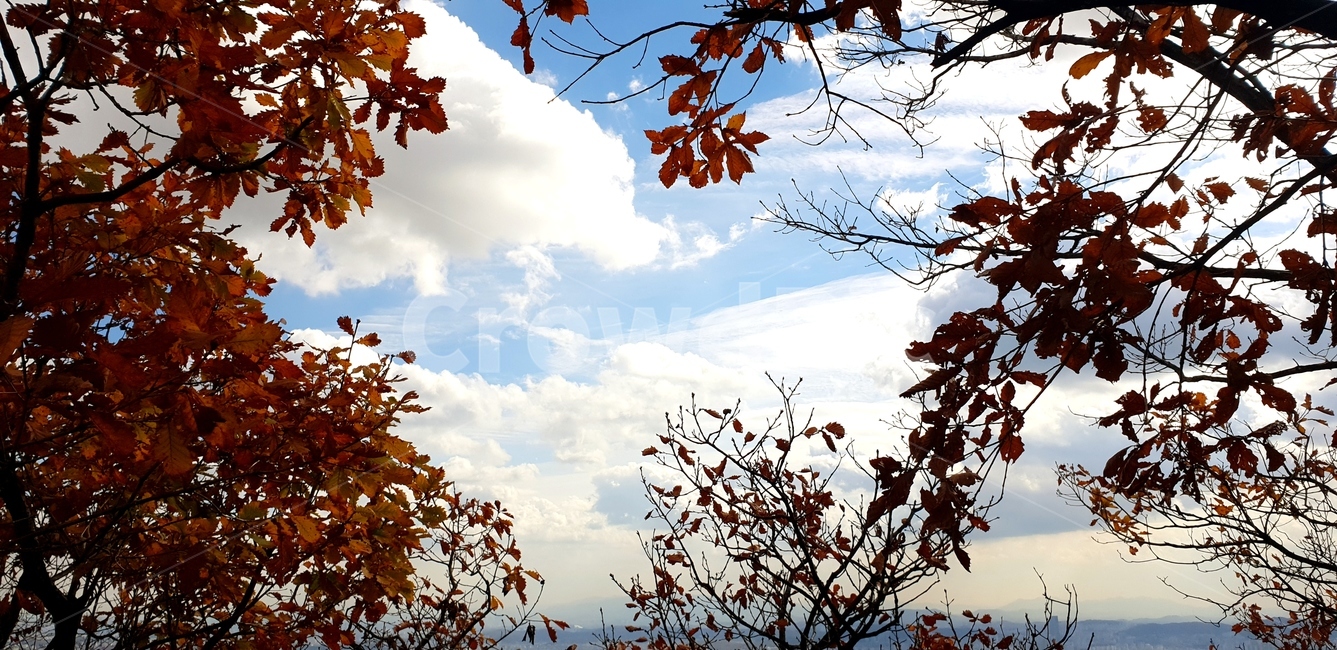 산,단풍,하늘,fall,가을,계절,autumn,season,구름,낙엽