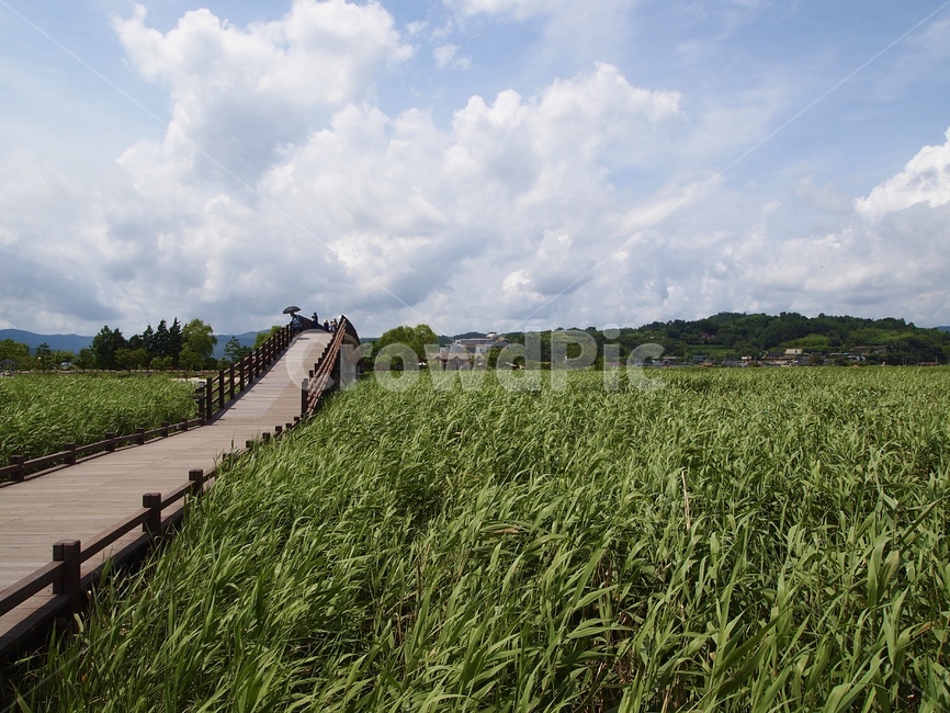 구름,하늘,cloud,초원,풍경,summer,green,다리,bridge,자연