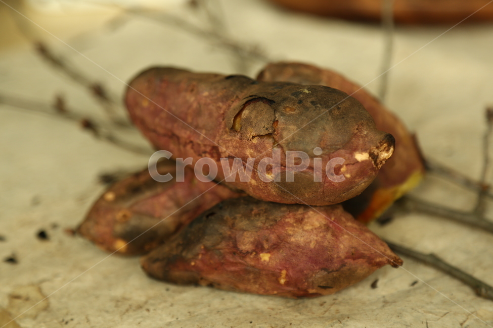고구마,군구고마,구황작물,음식,식품,간식,호박고구마,밤고구마,달콤,sweetpotatoes,gourd,gourdcrop,food,snacks,sweet,겨울,계절,winter,season,음식,식재료,요리,food,cook,meal,dishes,food reserves