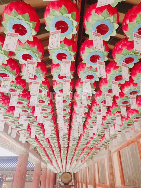 홍등,등,감성,절,전통,한국전통,한국문화,korean traditional,korean culture,종교,신앙,religion,belief,faith