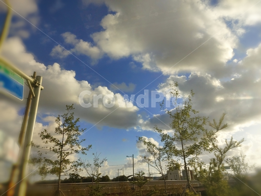 하늘,구름,sky,나무,식물,자연,풍경,nature,landscape,weather,날씨,outdoors,옥외