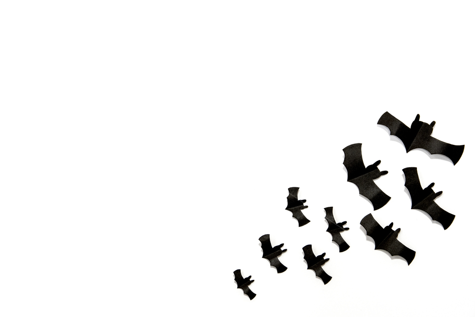 할로윈,박쥐,배경,백그라운드,검정,블랙,컨셉,콘셉,종이,종이박쥐,동물,색종이,halloween,bat,background,종이아트,아트,art,black,concept,paper,animal,colorpaper,축제,행사,festival,carnival,event