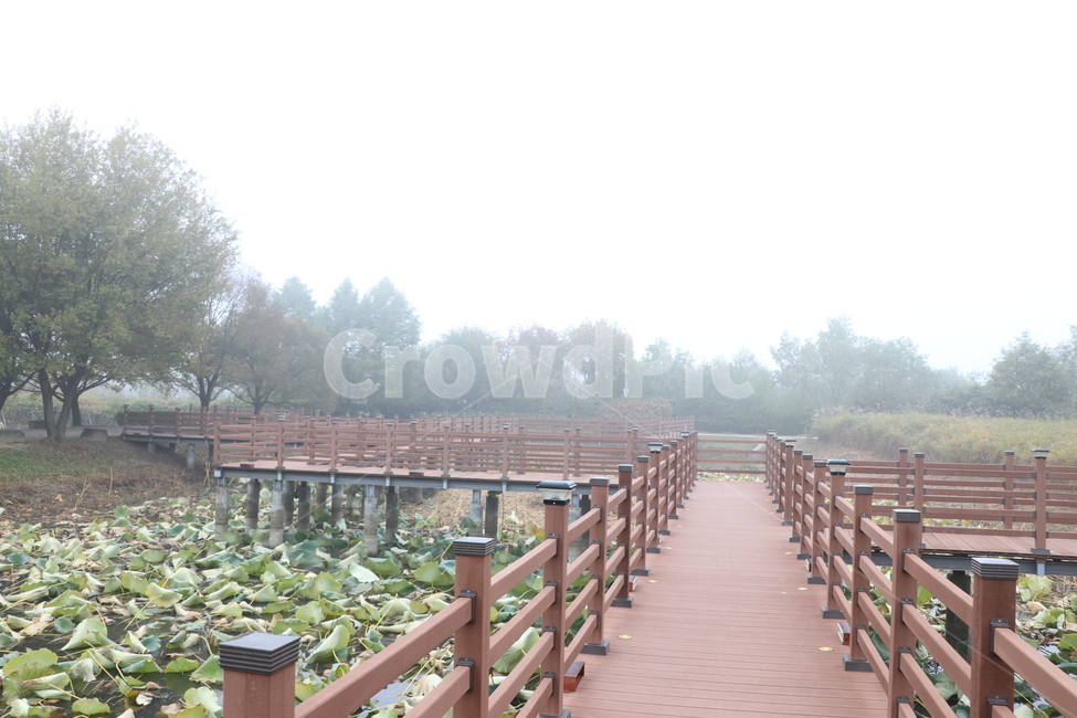 안개,호수,데크길,산책로,새벽안개,탑정호,수변공원,자연,풍경,nature,landscape,railing,난간