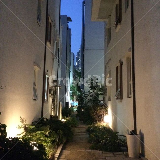 아산시,탕정면,조명,화이트,골목,해질녘,골목길,alley,path,통로,walkway,보도,flagstone,판석