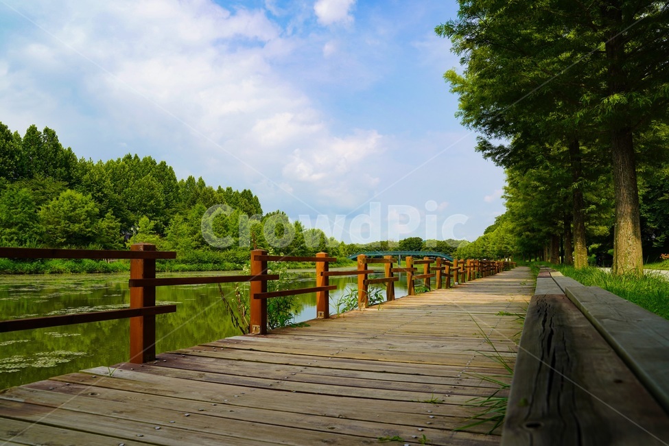 boardwalk,산책로,풍경,자연,길,바람