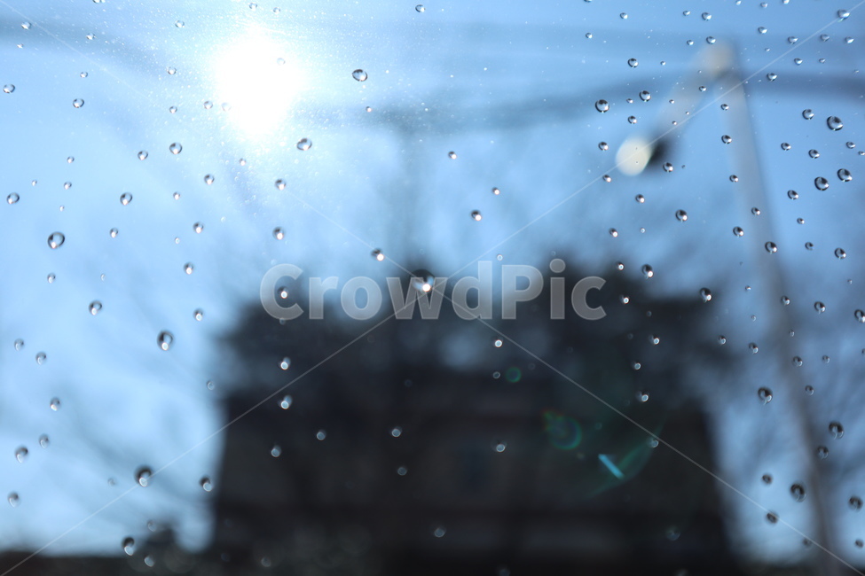 작은물방울,droplet,이슬,물방울,비,빗물