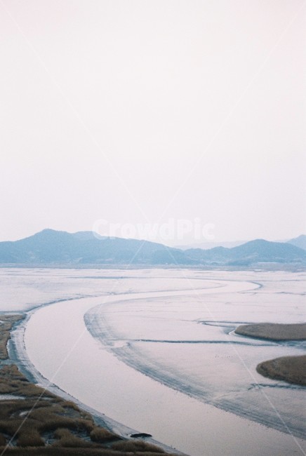 순천만습지,갈대밭,전망대,필름카메라,노을,film,하늘,겨울,landscape,풍경,경관,구름,cloudy,자연,풍경,nature,landscape,한국자연풍경,한국자연경관,korea nature landscape,outdoors,옥외