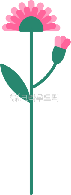 핑크색카네이션,핑크색꽃,스승의날,가정의달,어버이날,꽃잎,봄꽃,꽃장식,꽃모양,꽃,자연,식물,봄,꽃일러스트,꽃그림,꽃스티커,다꾸,꾸미기,꽃디자인,flower,꽃송이,카네이션