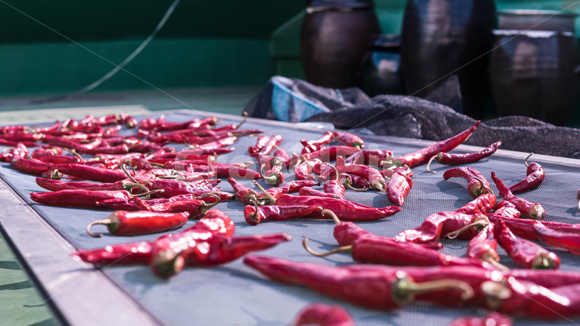 식품,고추,pepper,chilipepper,식물,음식,식재료,요리,food,cook,meal,dishes,food reserves