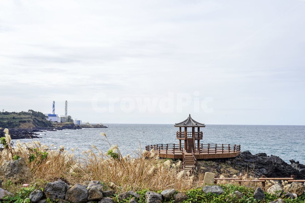 가을,제주도,fall,닭머르,바닷가,제주풍경,자연,풍경,nature,landscape,한국자연풍경,한국자연경관,korea nature landscape,제주도,jeju,jeju island