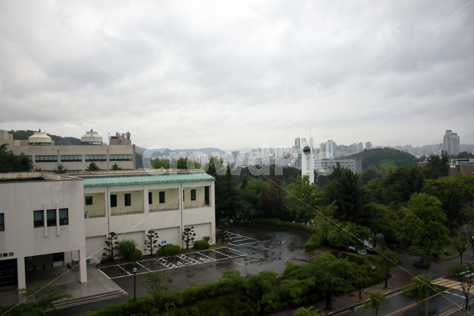 landscape,경치,outdoors,옥외,road,scenery,자연,nature,도로,흐린,유성구,충남대,충남대학교,캠퍼스,우중충,하늘,구름,나무,가로수,전경,풍경,비,장마,우산,campus,rain,raining,cloudy