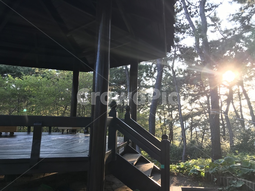 정자,공원,산,숲길,조용한분위기,상쾌,나무,나무길,산소