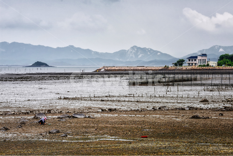 신안,신안군,갯벌,풍경,전라남도,전라도,남해,자연,물,water,waterfront