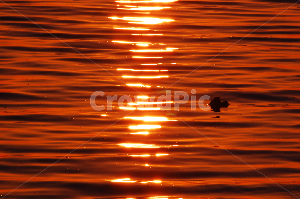 바다,황혼,강,sunset,바닷가,일몰,붉은노을,sea,dusk,자연,풍경,nature,landscape,outdoors,옥외,water,물