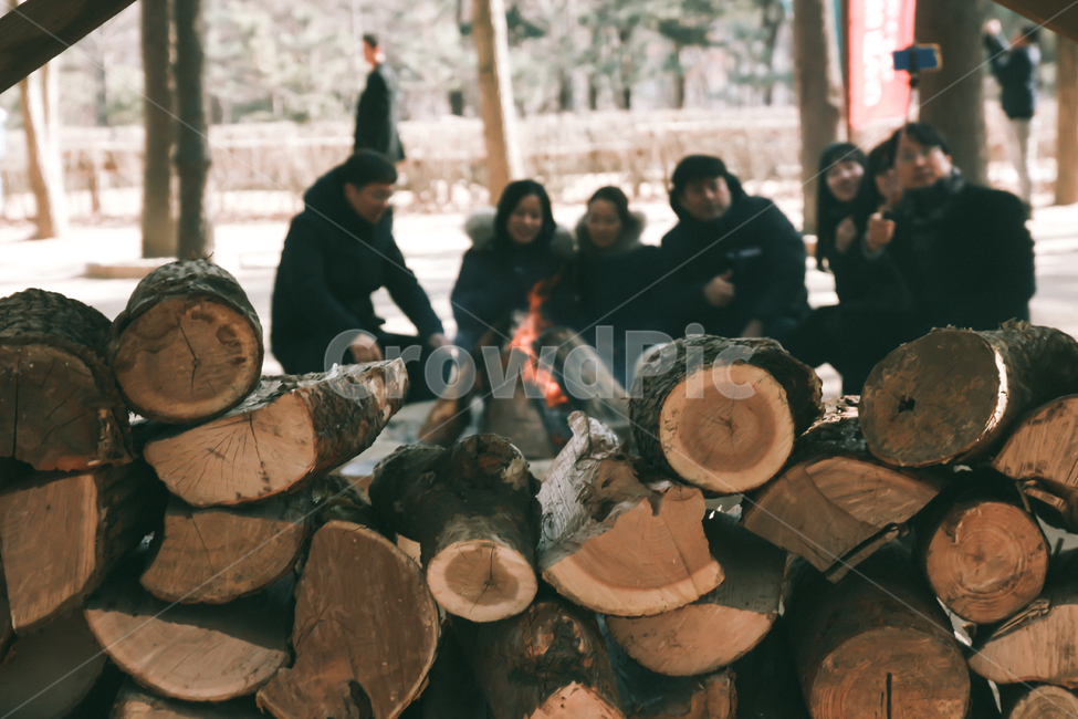 감성,겨울,필름,장작나무,남이섬,겨울,계절,winter,season