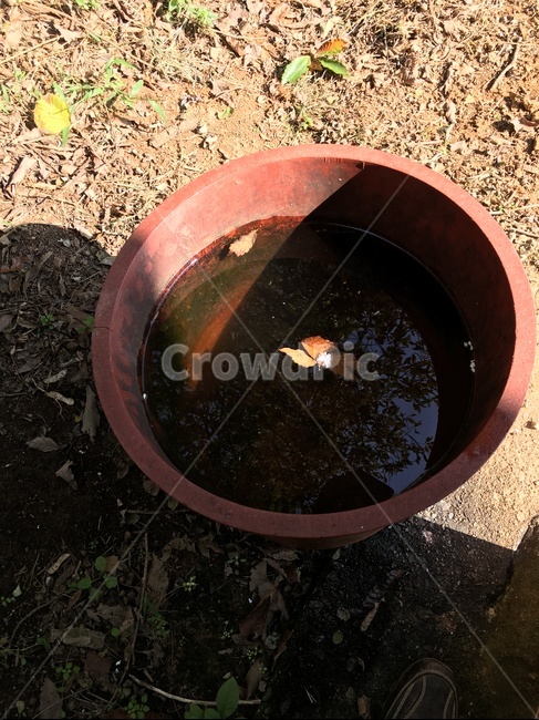 ground,바닥,통,물,물통,땅