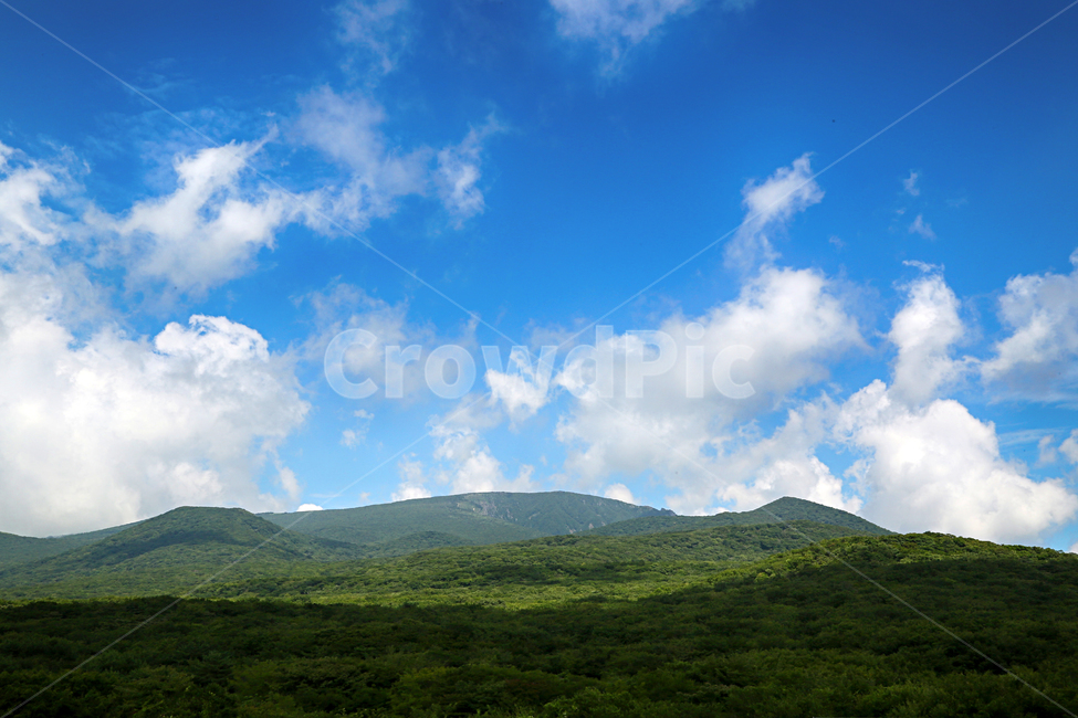 제주도,한라산,1100고지,한라산풍경,1100고지풍경,산,nature,자연,옥외,outdoors,자연,풍경,nature,landscape
