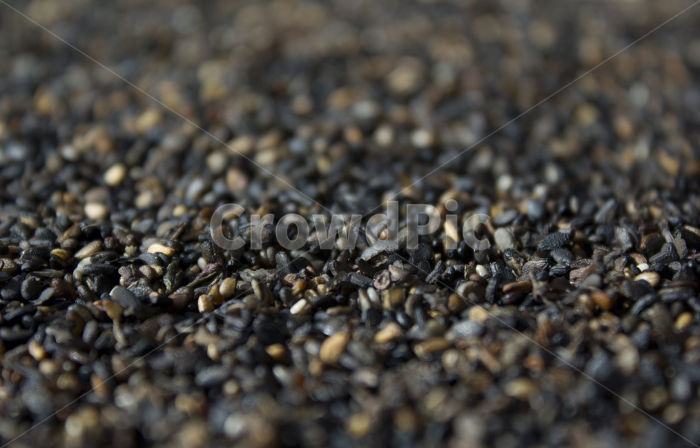 closeup,dry,dummy,food,grain,macro,meal,natural,nature,organic,plant,seed,seeds,sesame,sesameseed,sesameseeds,깨,참깨,곡식,곡류,음식,음식재료,식재료,식물,씨앗,씨,말린,말리는,건조,자연,클로즈업,깨소금,농작물,농촌,농사,검정,블랙,검은색,black,검은깨,아웃포커스,포커스아웃,블러,곡류,곡식,cereals