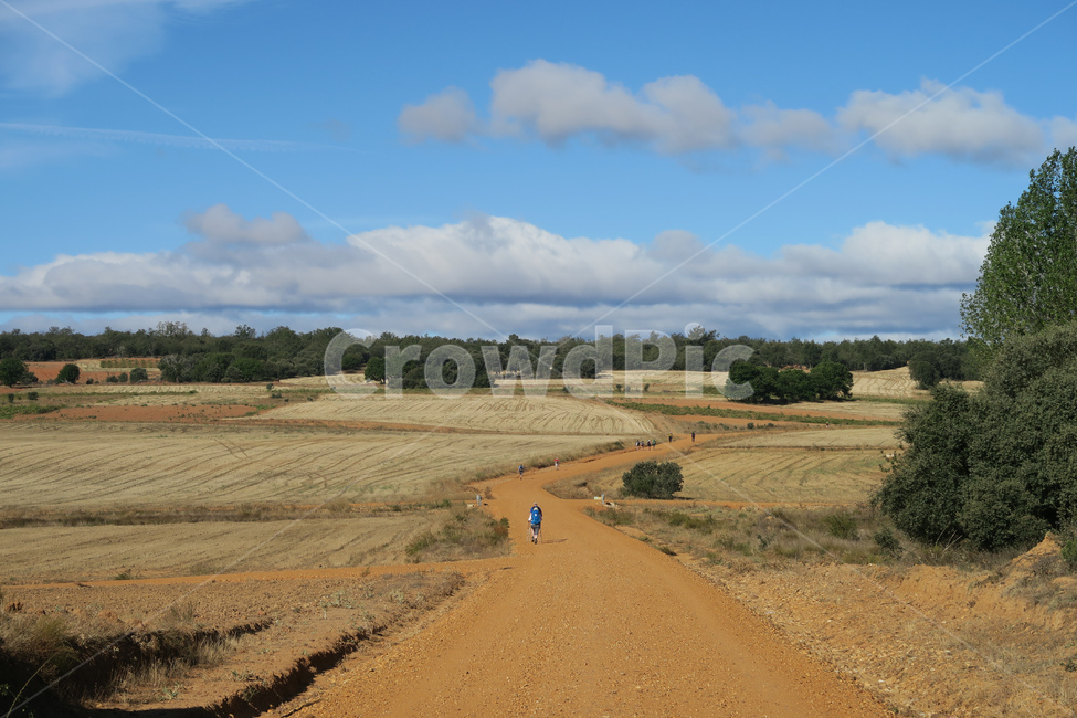 도로,gravel,자갈,outdoors,옥외,grassland,field,들,목초지,스페인,spain,españa,산티아고순례길,순례길,산티아고,순례,pilgrim,peregrino,caminodesantiago,camino,순례자,nature,자연,길,road,way,dirtroad,흙길,풍경,landscape,아스토르가가는길,아스토르가,aastorga,toastorga,자연,풍경,nature,landscape