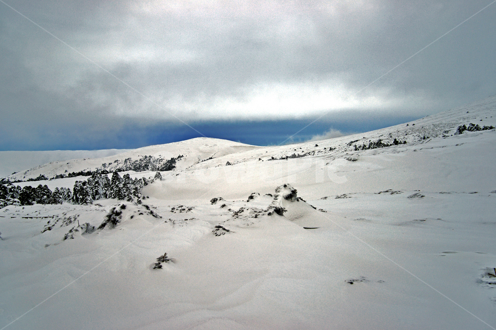 한라산,제주도,영실코스,설경,눈,겨울,설화,설산,겨울,계절,winter,season