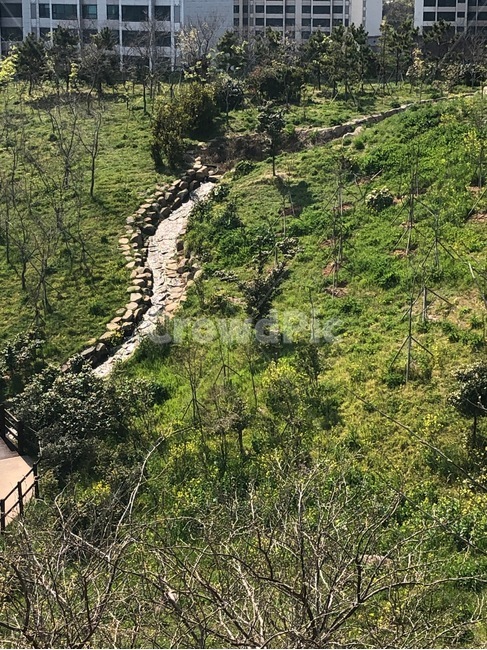 시냇물,숲,풀잎,나무,꽃,연못,자연,풍경,nature,landscape,outdoors,옥외