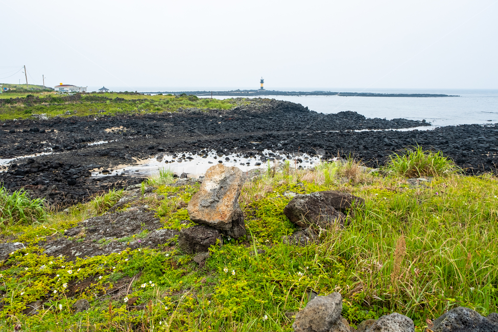제주,제주도,우도,바다,자연,nature,풍경,섬,아름다운풍경,풀,밭,풀밭,해안가,해변,바닷가,비양도,자연,풍경,nature,landscape,제주도,jeju,jeju island,ground,바닥