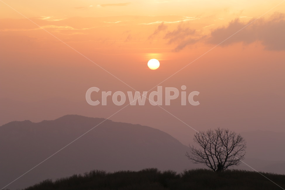 일출,산,풍경,태양,나무,자연,풍경,nature,landscape,한국자연풍경,한국자연경관,korea nature landscape,실루엣,그림자,silhouette,shadow,outdoors,옥외