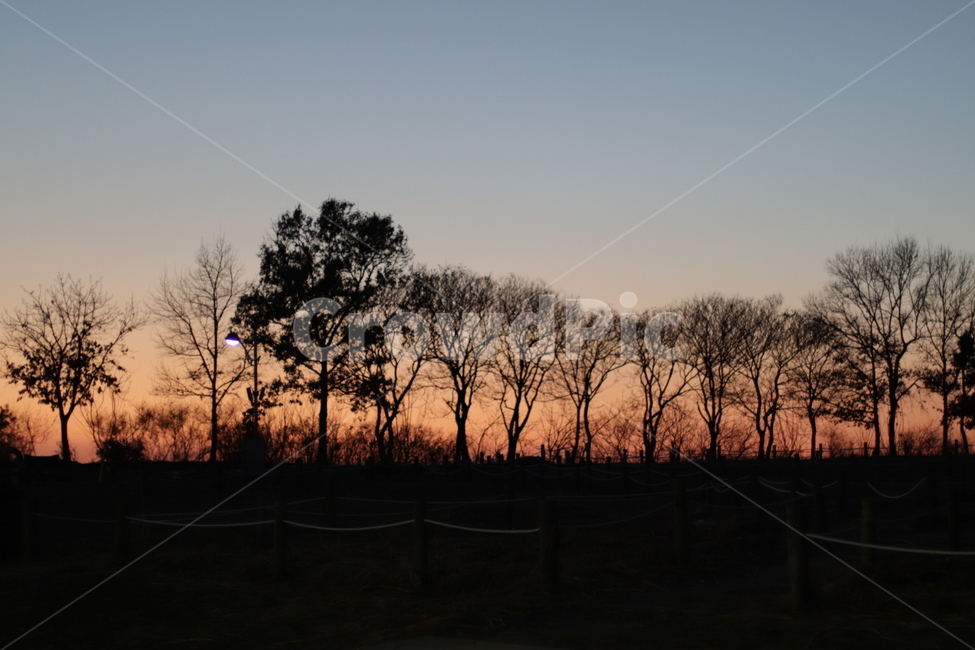 감성,고독,외로움,갬성,감정,야경,자연,풍경,nature,landscape,실루엣,그림자,silhouette,shadow,outdoors,옥외,sky,하늘,dusk,황혼,sunset,일몰,dawn,새벽,red sky,붉은 하늘