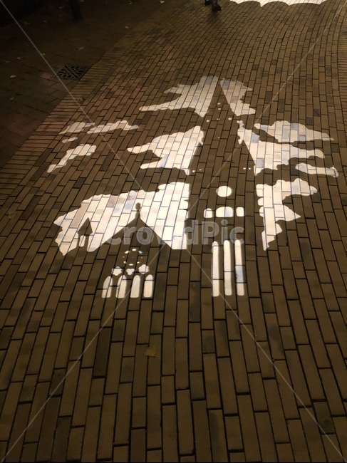 할로윈,조명,그림자,성그림자,halloween,lighting,shadow,castle,castleshadow,바닥,floor