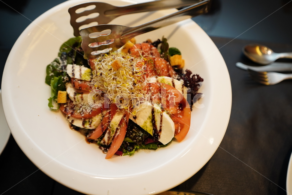 샐러드,salad,야채,음식,치즈,토마토,접시,서양식,외식,양식,먹거리,푸드,먹방,디저트,식전음식,요리,dish,음식,식재료,요리,food,cook,meal,dishes,food reserves