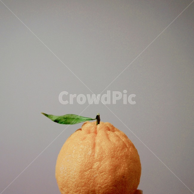 한라봉,과일,오렌지,귤,fruit,orange,잎파리